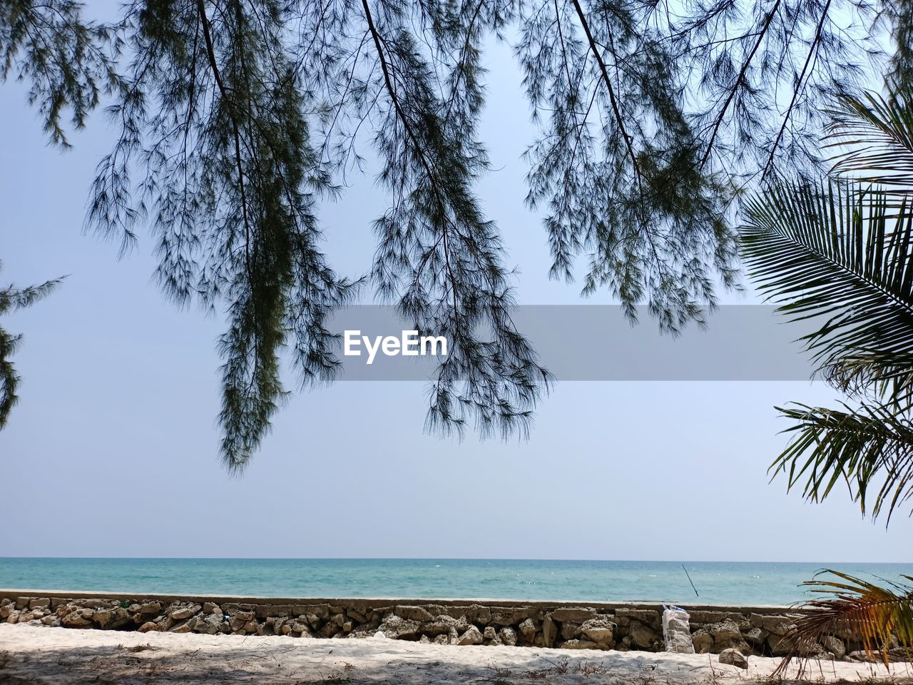 Ban Chuen Beach in Trat Province, Thailand Tree Water Sea Beach Blue Relaxation Summer Sky Horizon Over Water Seascape Palm Tree