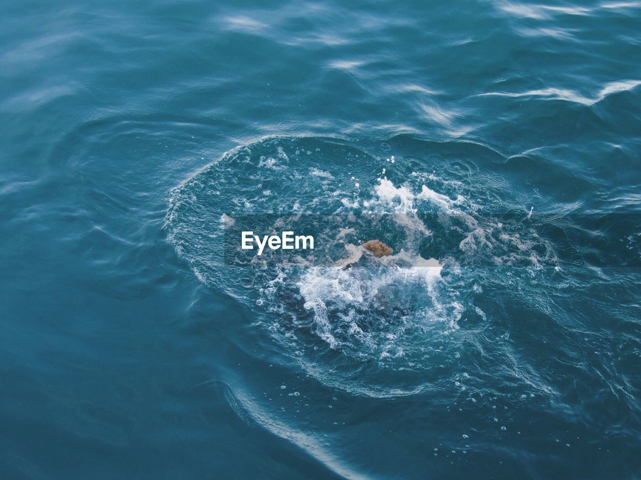 Cropped image of person swimming in sea