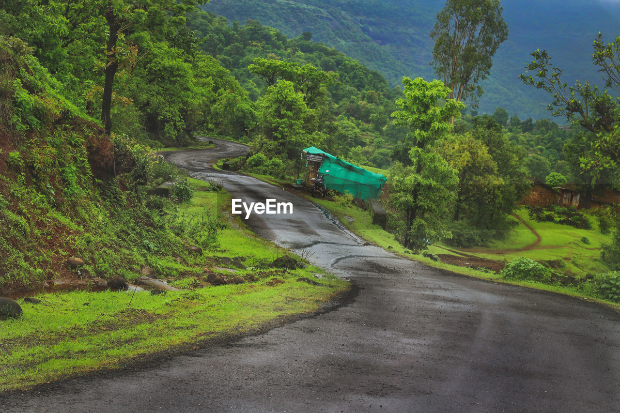 Road amidst trees in forest