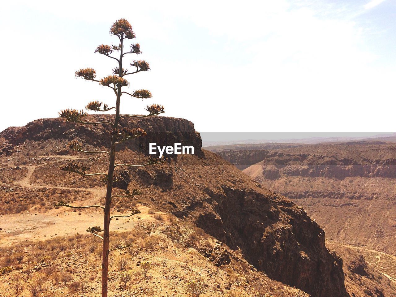 Scenic view of mountain against sky