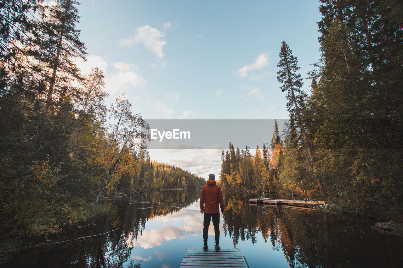 Traveller stands and admiring autumn in wilderness of hossa national park in lapland, finland.