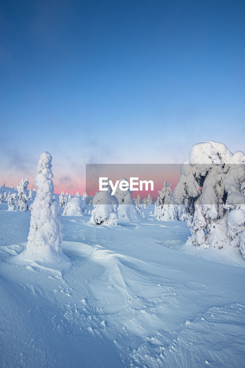 Snow covered landscape against blue sky