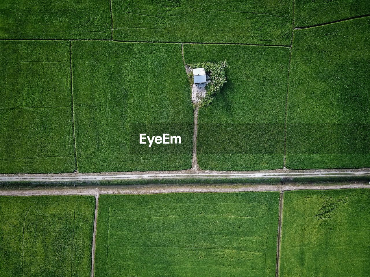 High angle view of grassy field