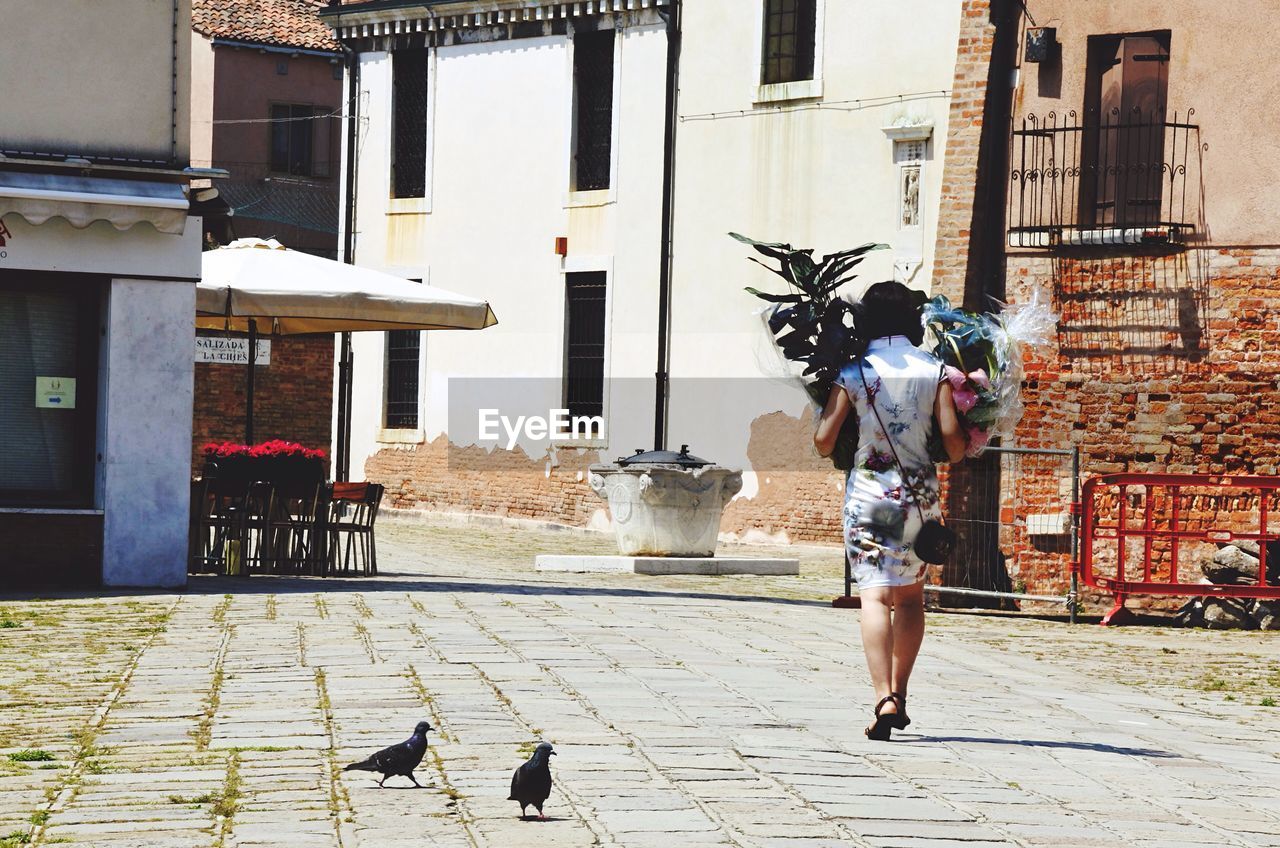 FULL LENGTH OF MAN AND BIRDS ON CITY