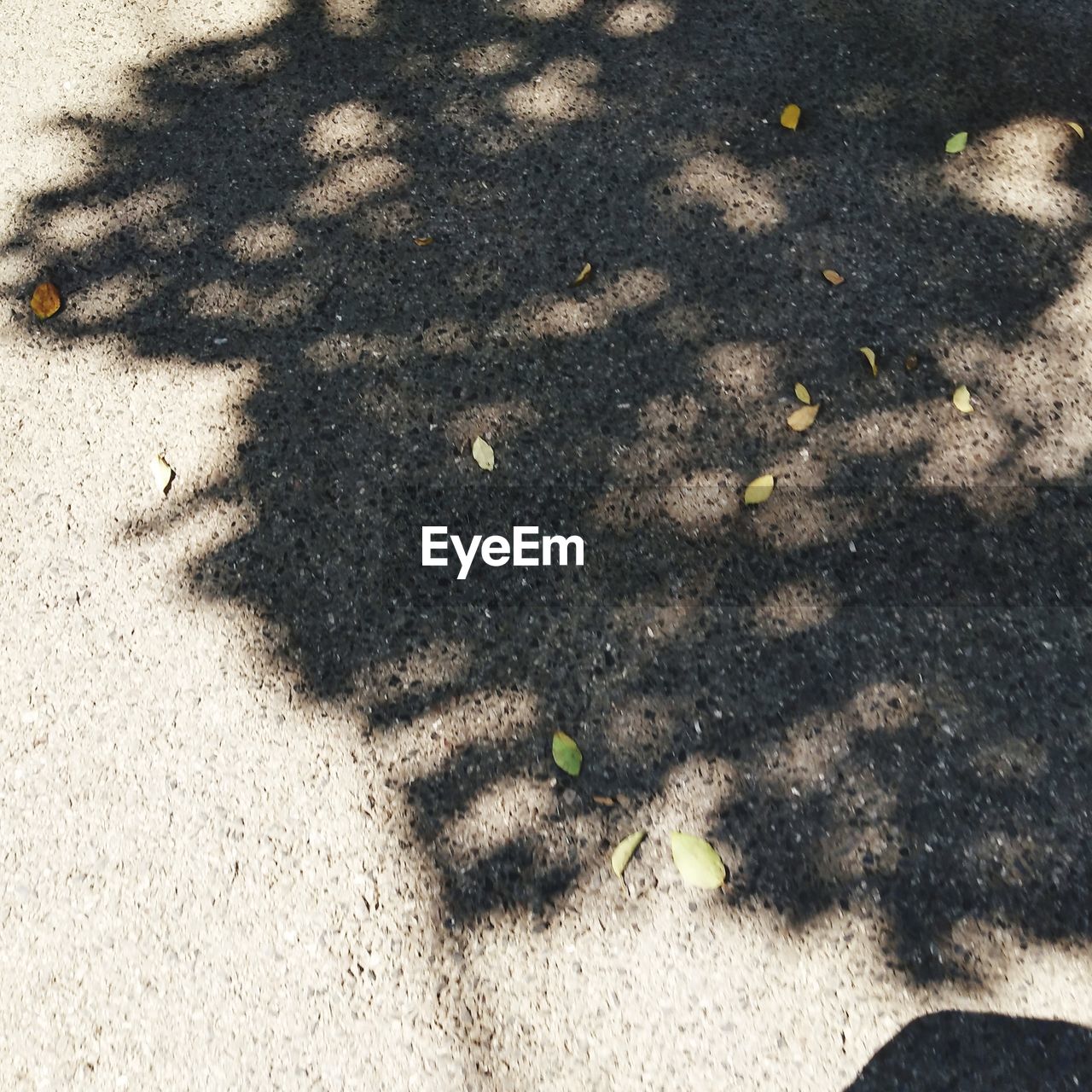 HIGH ANGLE VIEW OF SHADOW ON BEACH