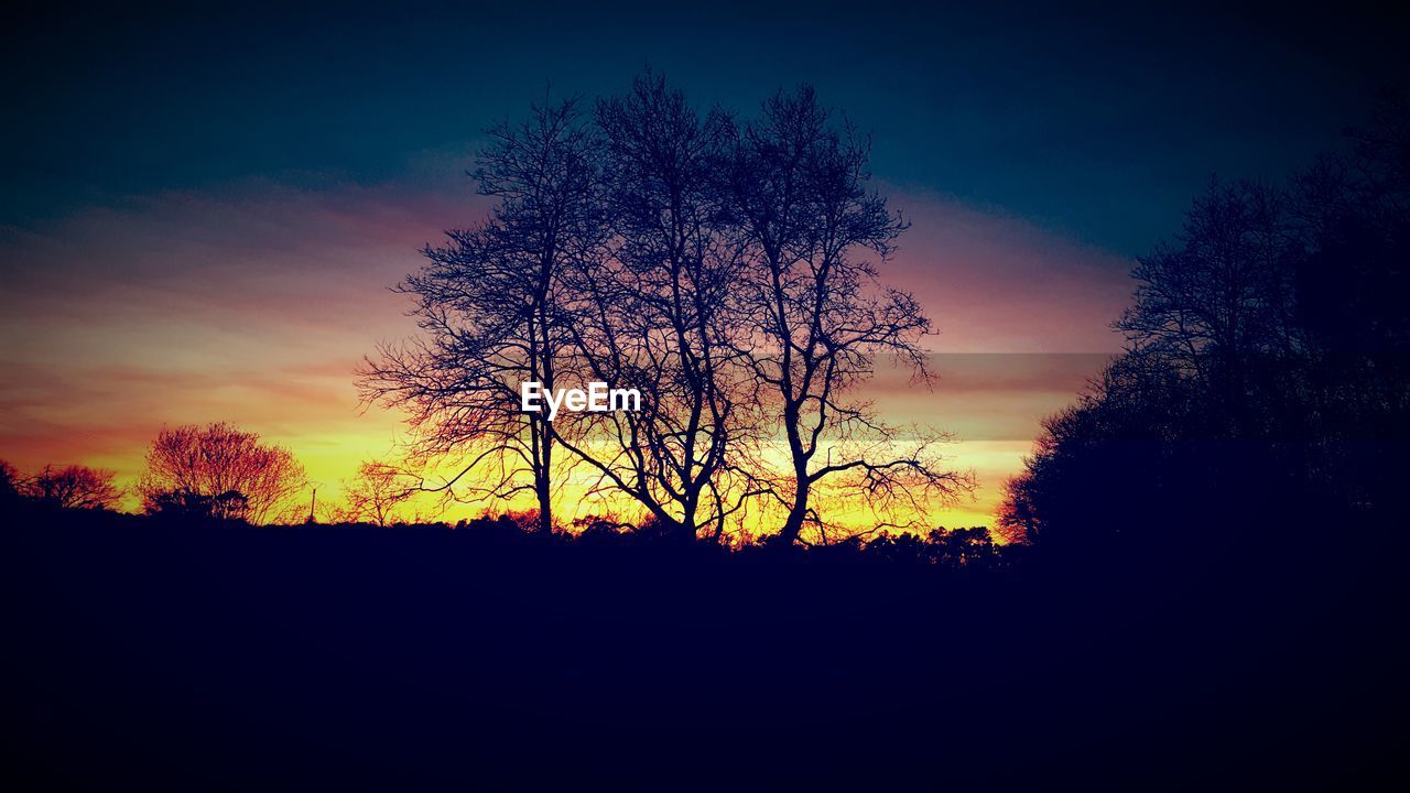 LOW ANGLE VIEW OF SILHOUETTE TREE AGAINST SKY