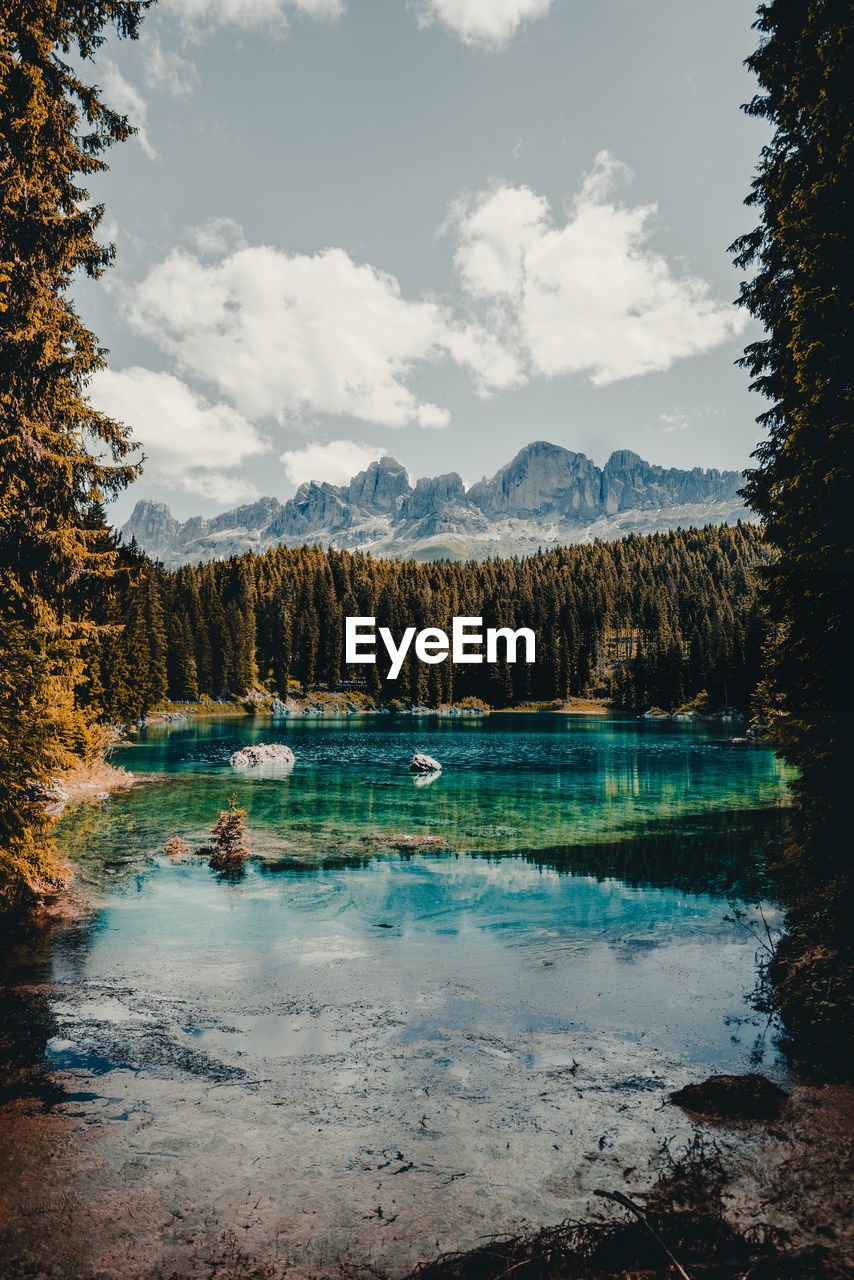 Scenic view of lake by trees against sky