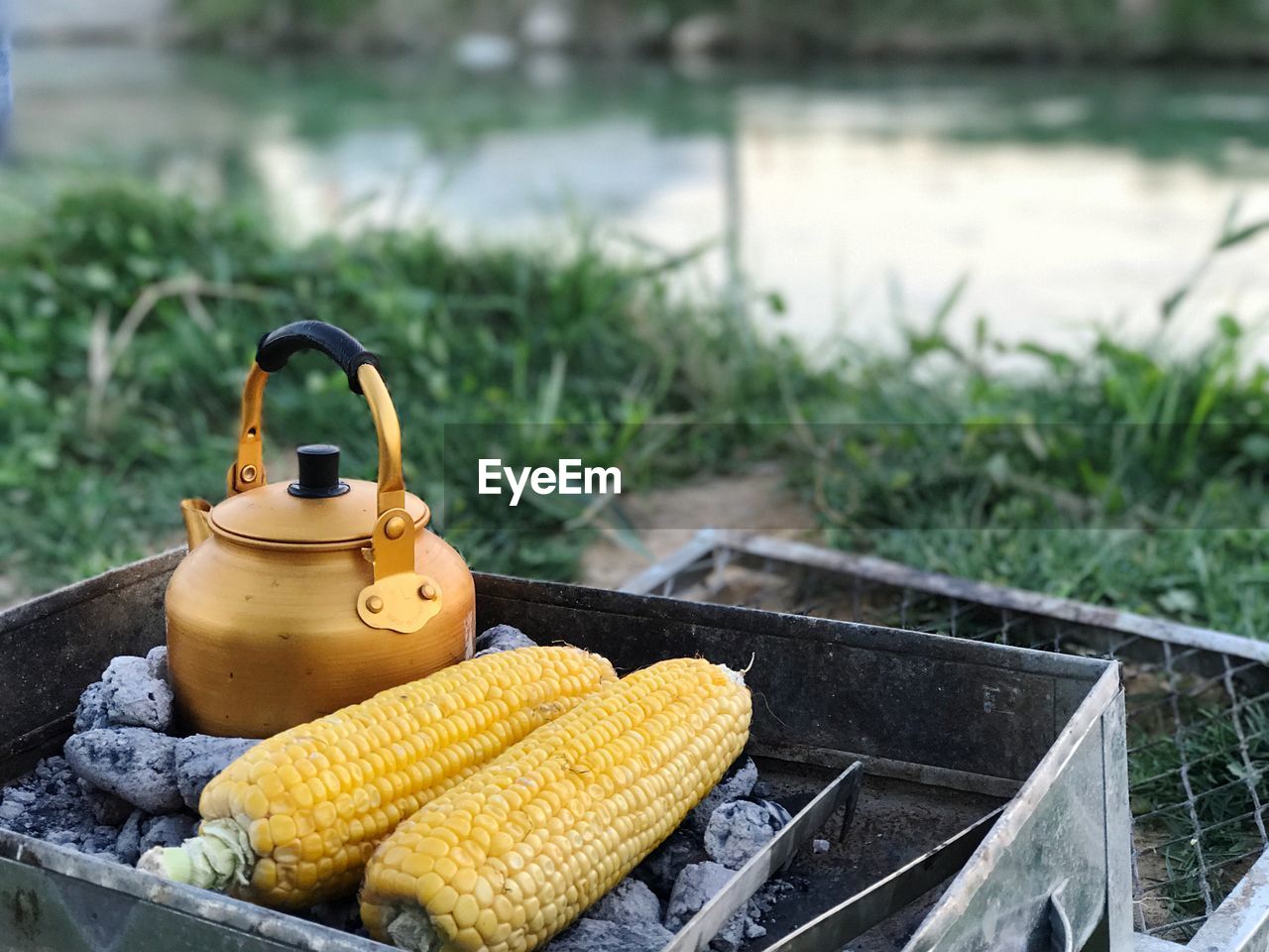 Close-up of corn with kettle on barbecue at lakeshore