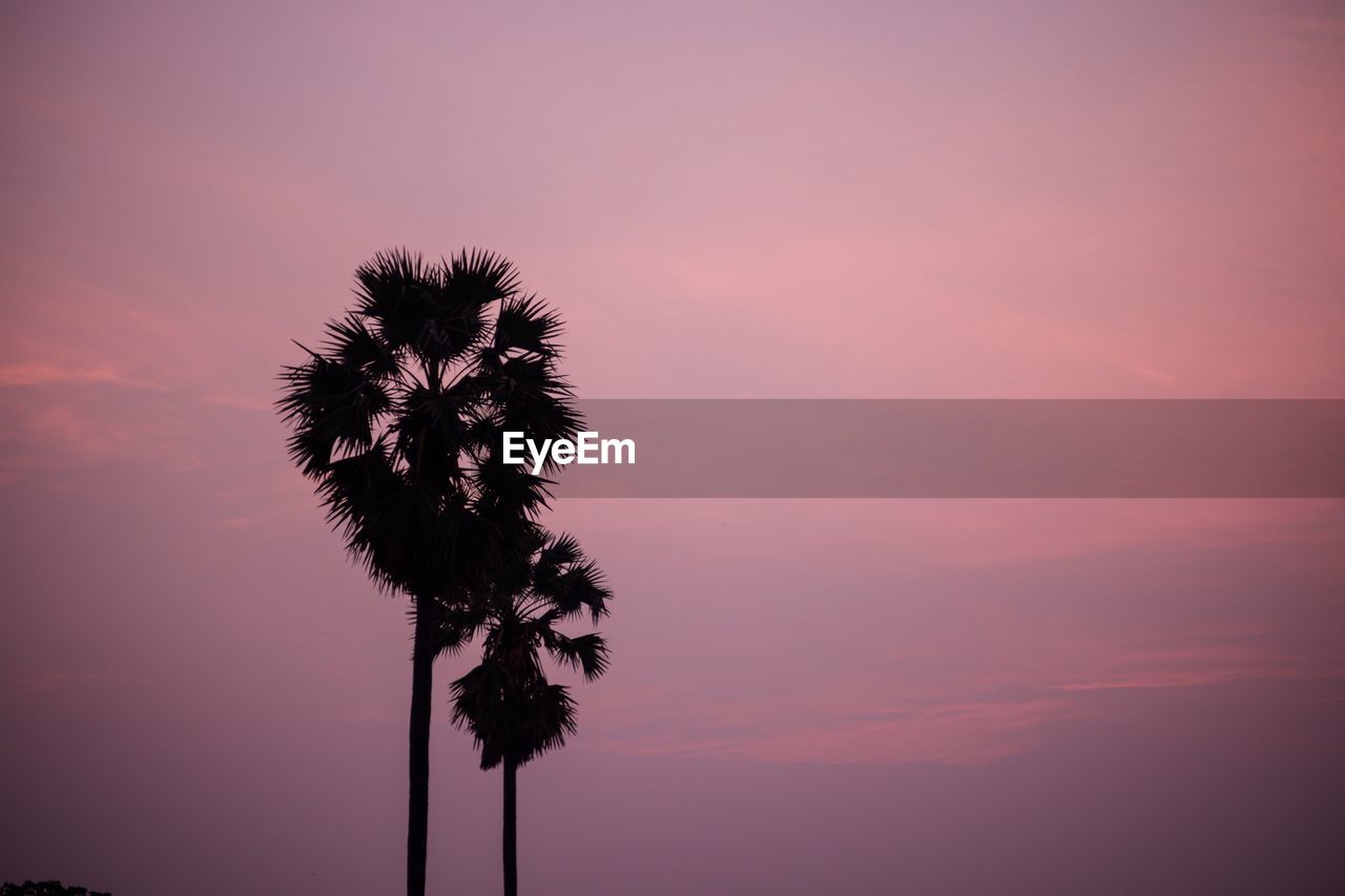 LOW ANGLE VIEW OF SILHOUETTE COCONUT PALM TREE AGAINST ROMANTIC SKY AT SUNSET