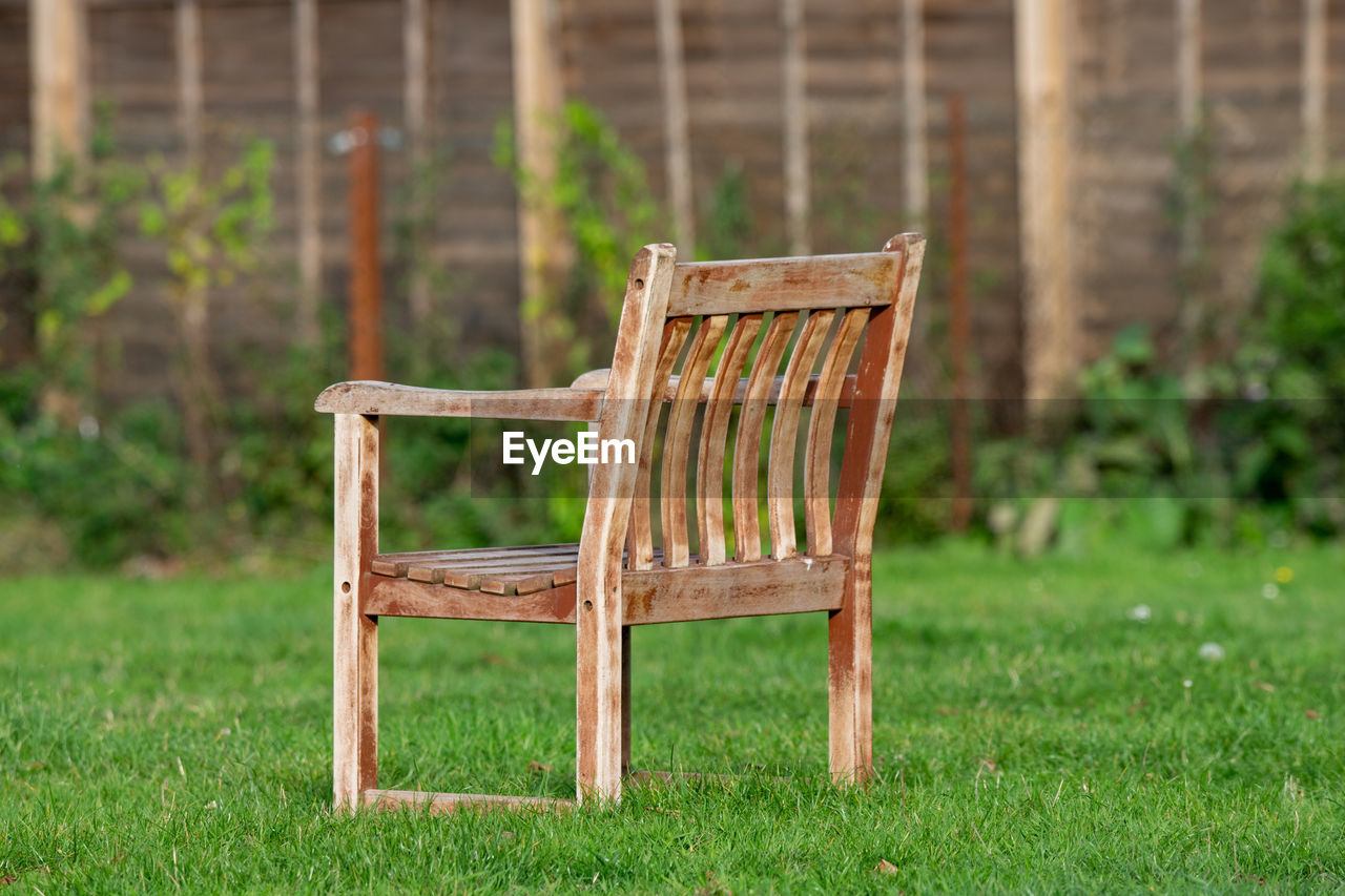 Wooden park bench