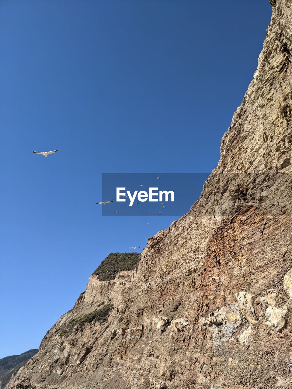 LOW ANGLE VIEW OF AIRPLANE FLYING IN CLEAR SKY