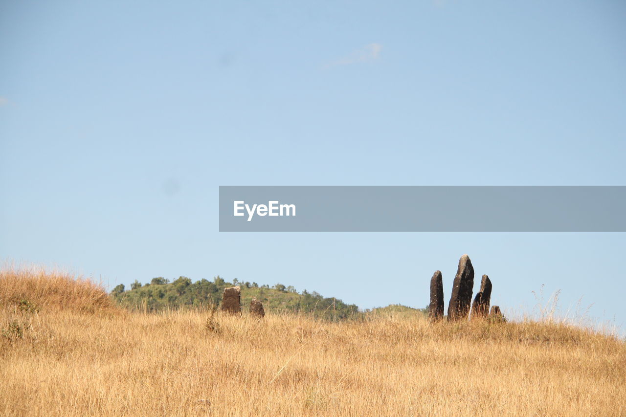 Panoramic view of field against clear sky