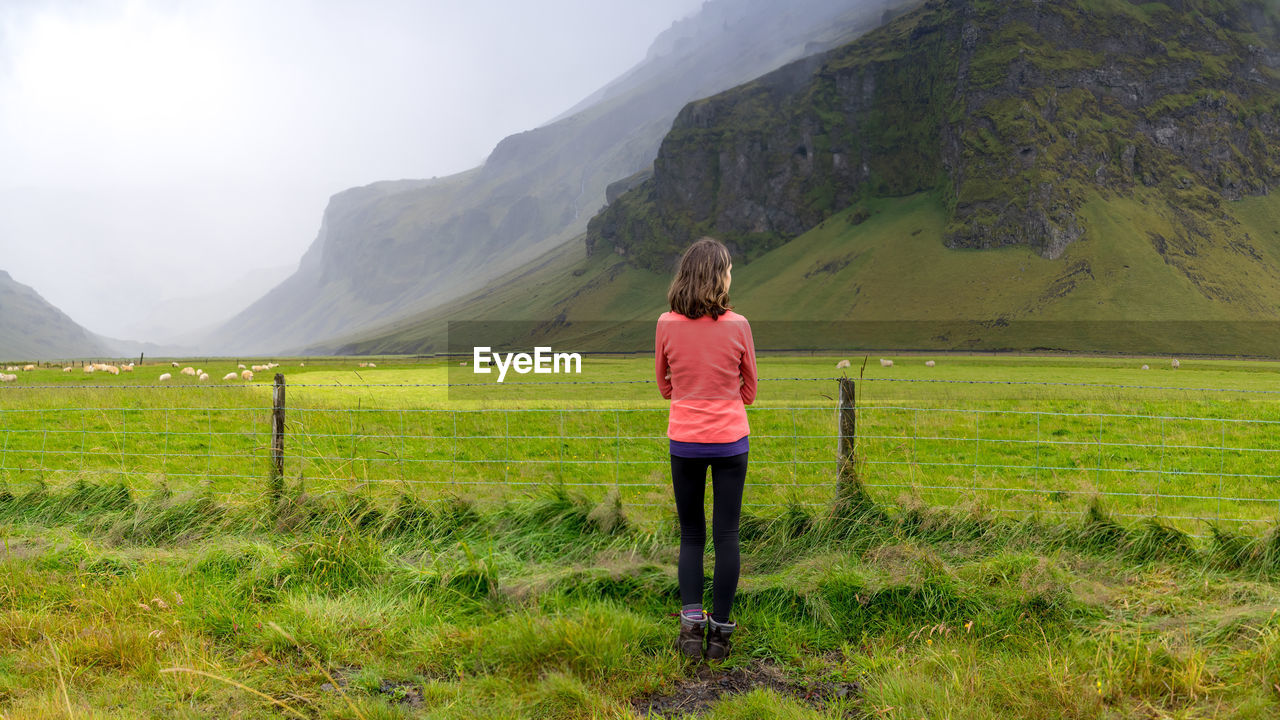 Hiker in a bright fleece checking out sheep grazing in iceland