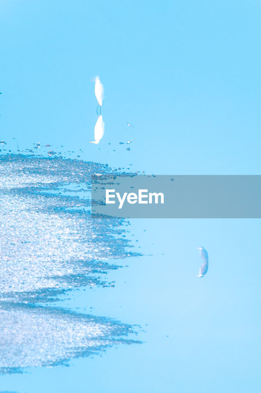CLOSE-UP OF BUBBLES AGAINST SKY