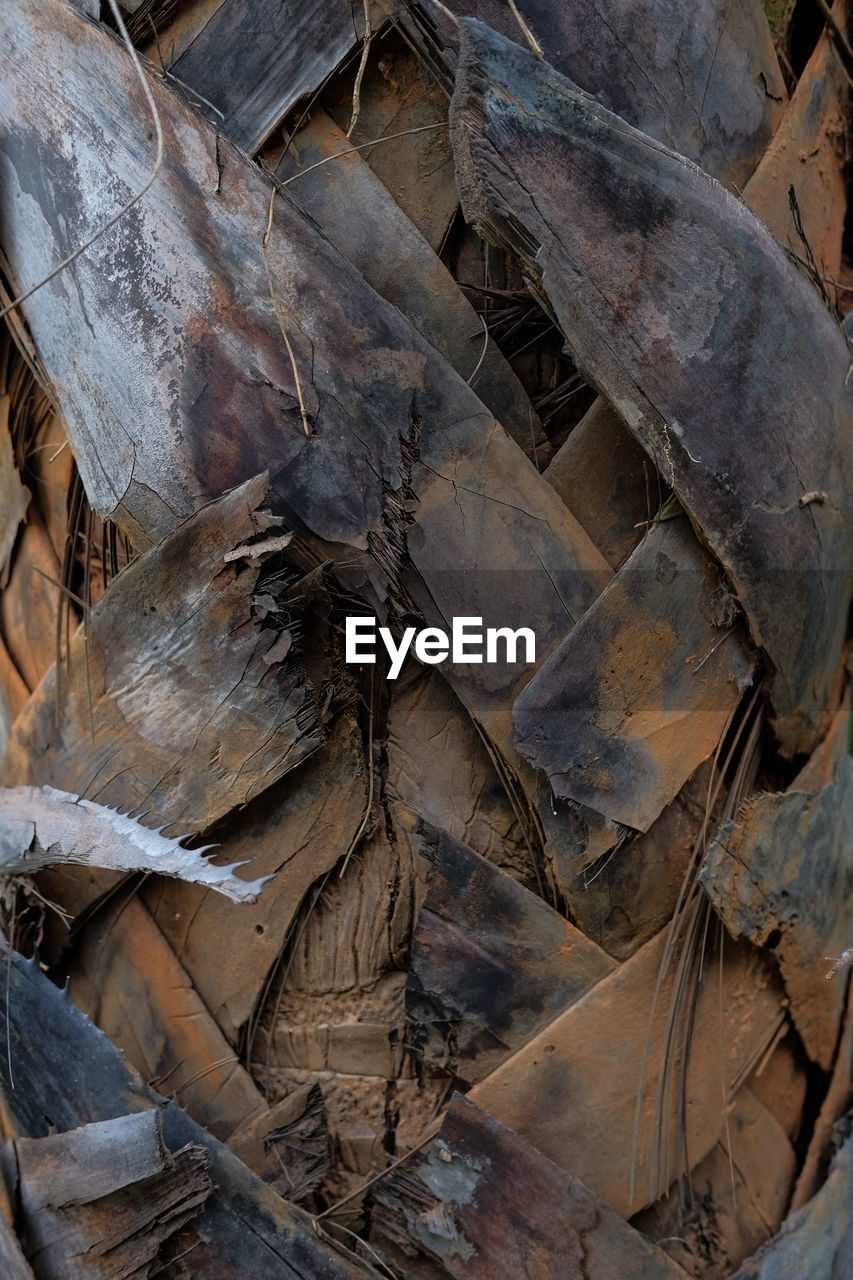 FULL FRAME SHOT OF DRIED LEAVES ON LAND