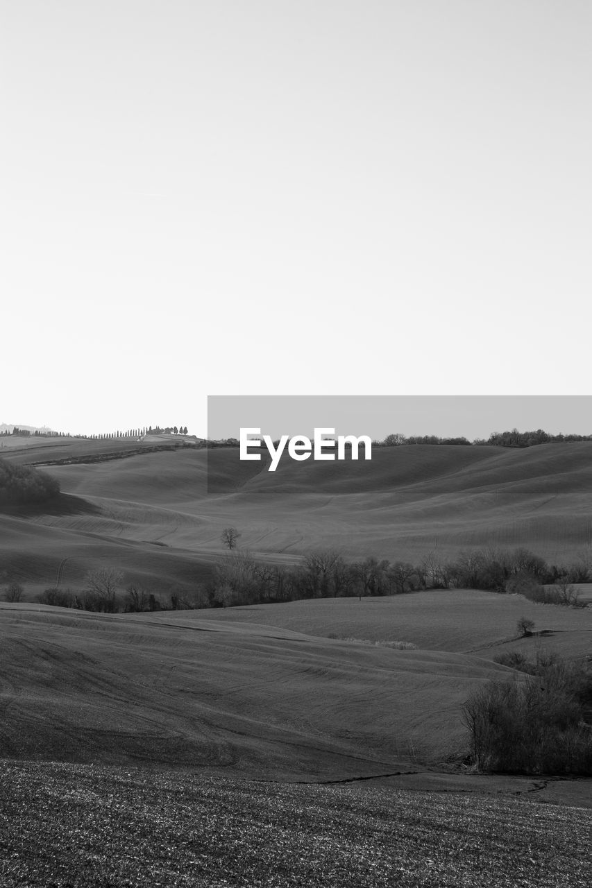 Scenic view of field against clear sky