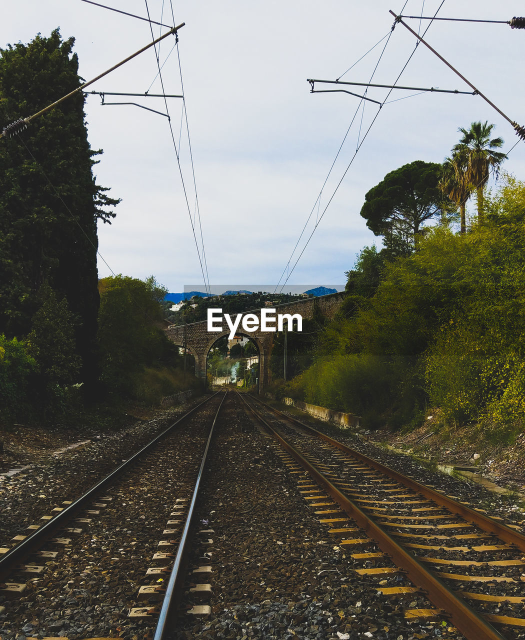 Railroad tracks amidst trees against sky