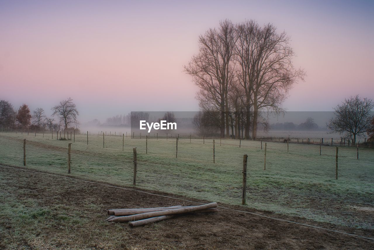 Bare trees on field against sky during sunset