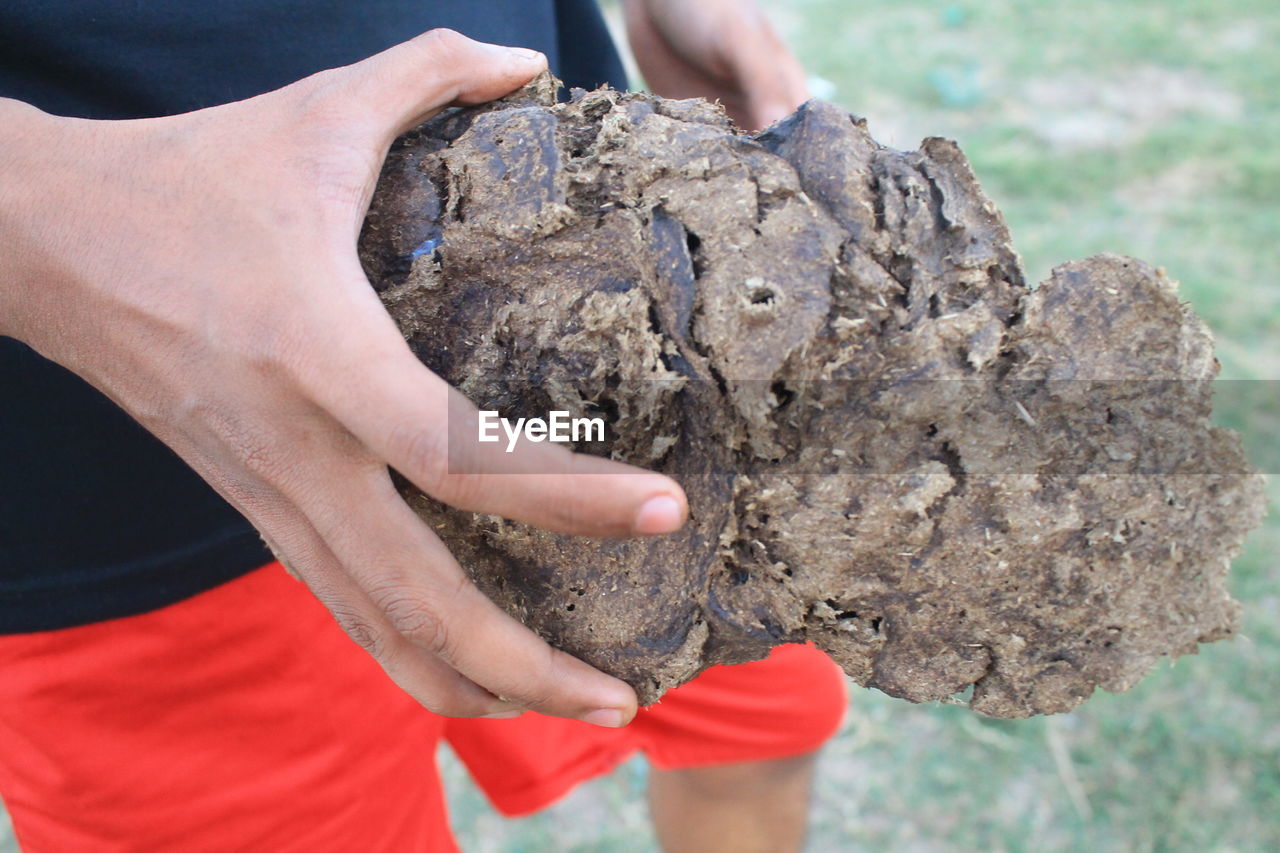 Midsection of man holding dry cow dung on field