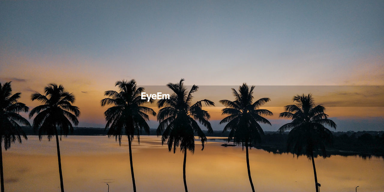 Silhouette palm trees against sky during sunset