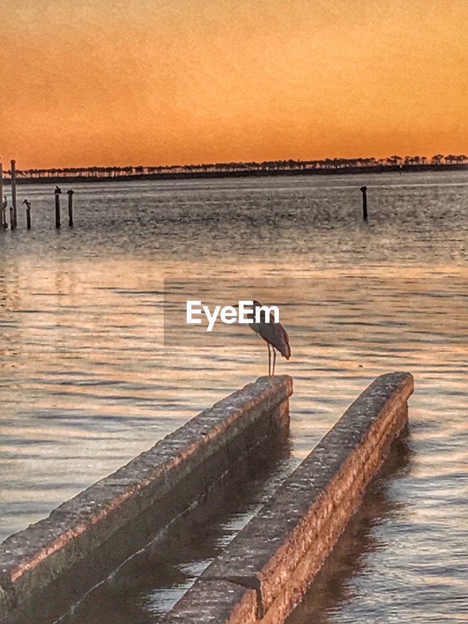 SEAGULLS PERCHING ON PIER OVER SEA AGAINST SKY DURING SUNSET