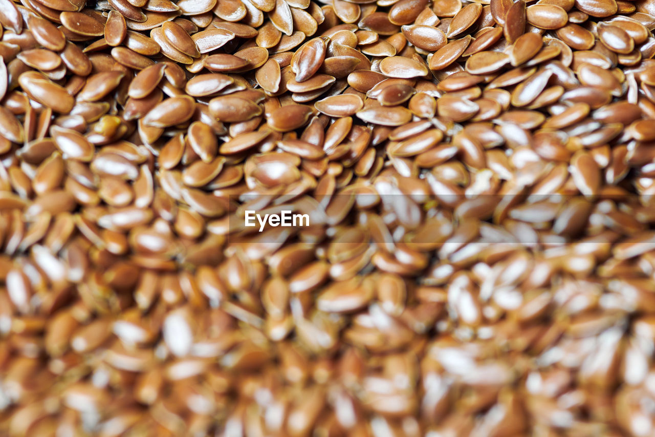 Flaxseed, linseed close up. bunch of linum usitatissimum - common flax seeds. healthy vegetarian