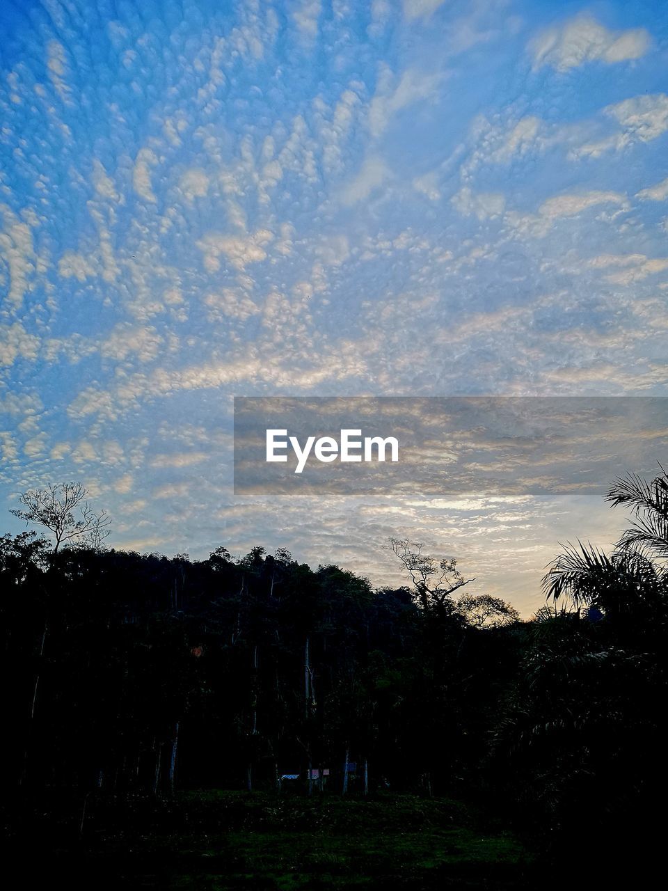 SCENIC VIEW OF SILHOUETTE FIELD AGAINST SKY AT SUNSET