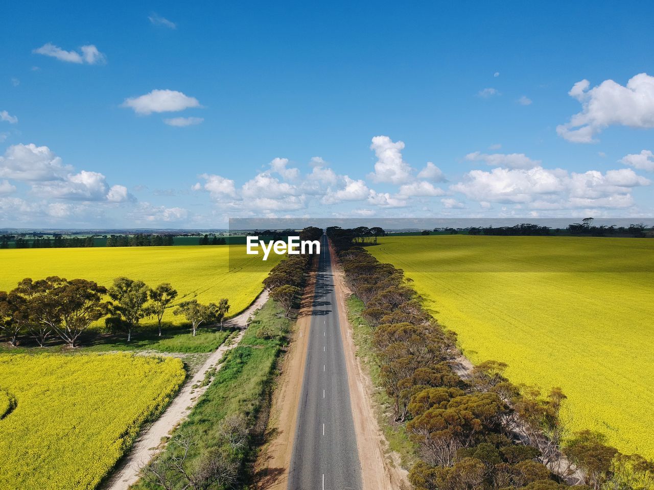 Scenic view of road amidst field against sky