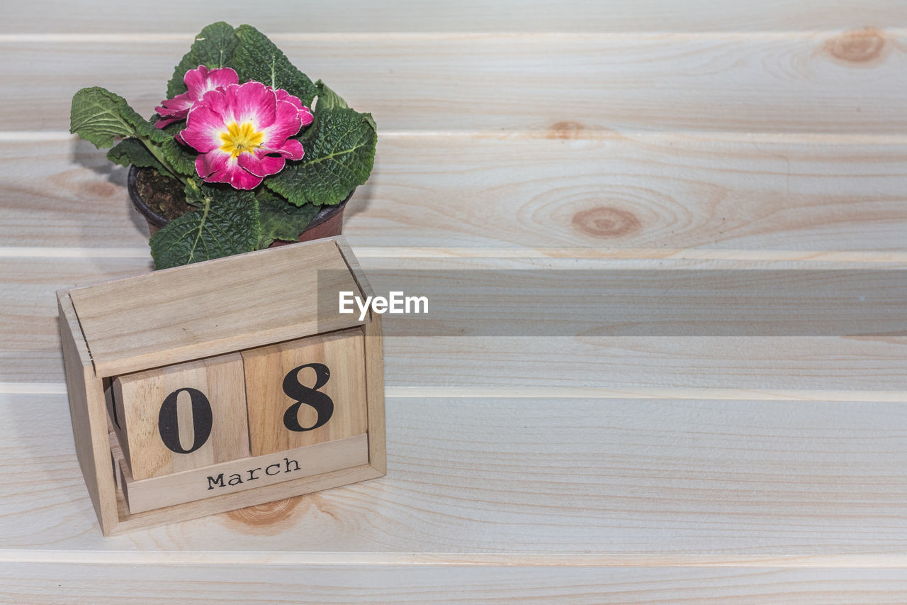 Wooden march 8 calendar, next to flower pots on wooden table. selective focus. happy womans day