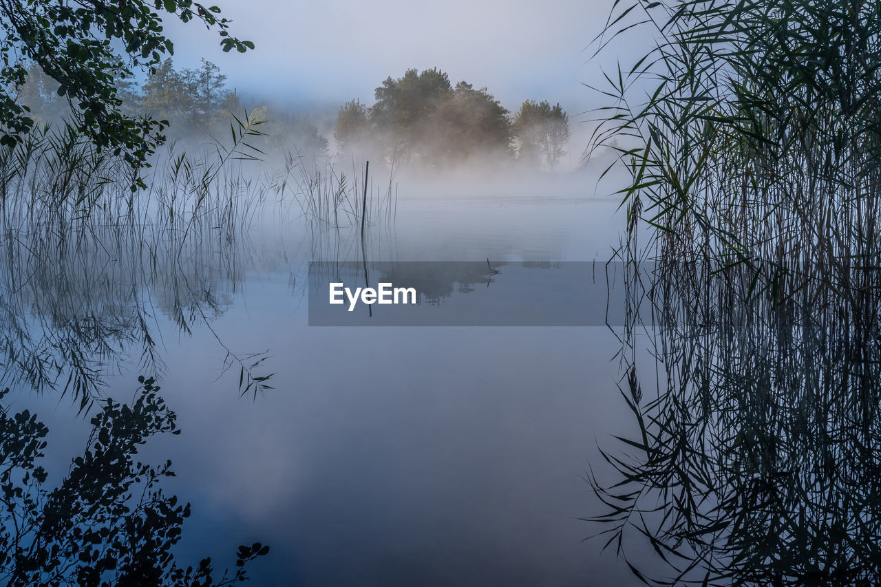 Reflection of trees in lake against sky