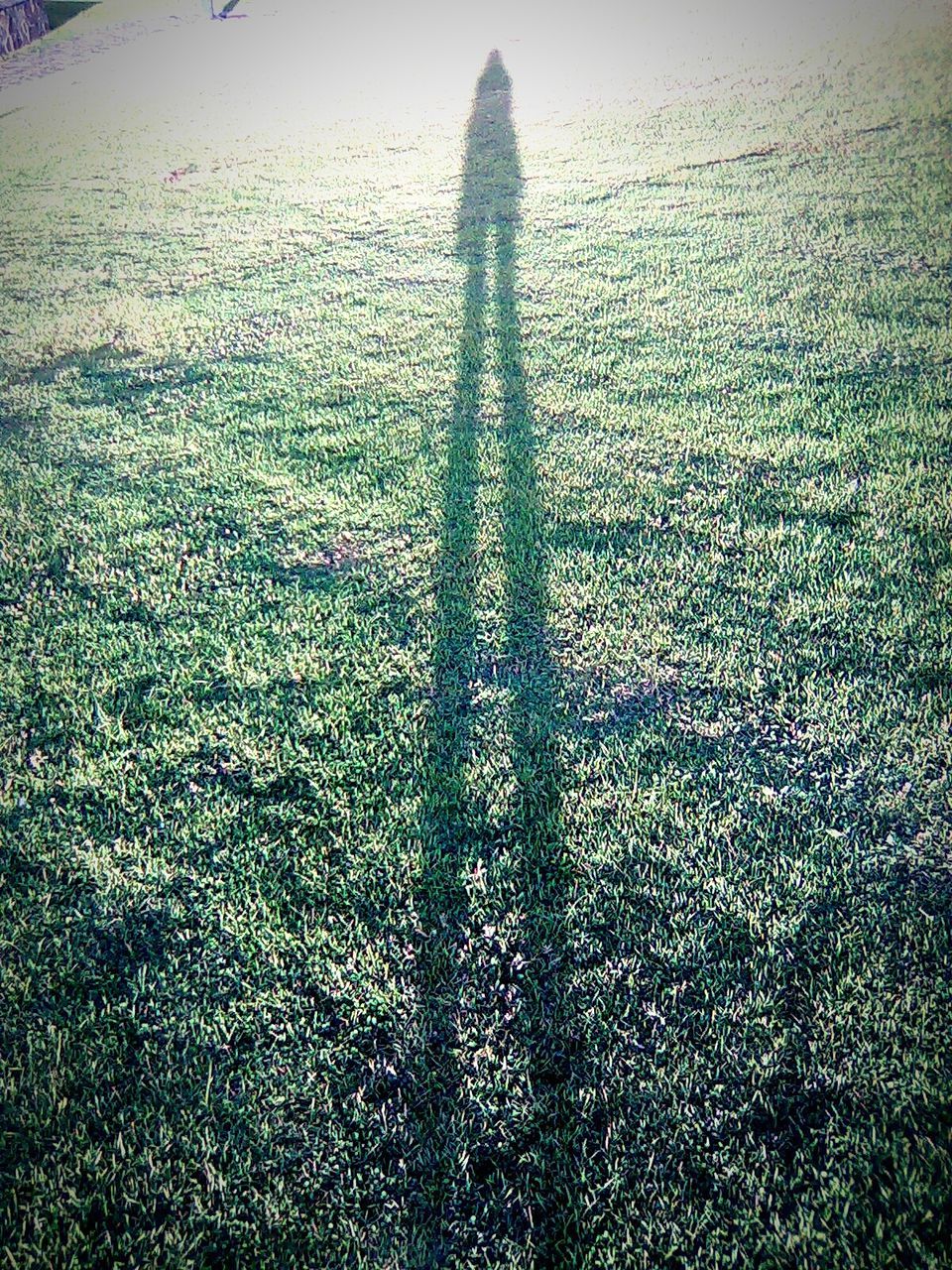 Shadow of person grassy field during sunny day