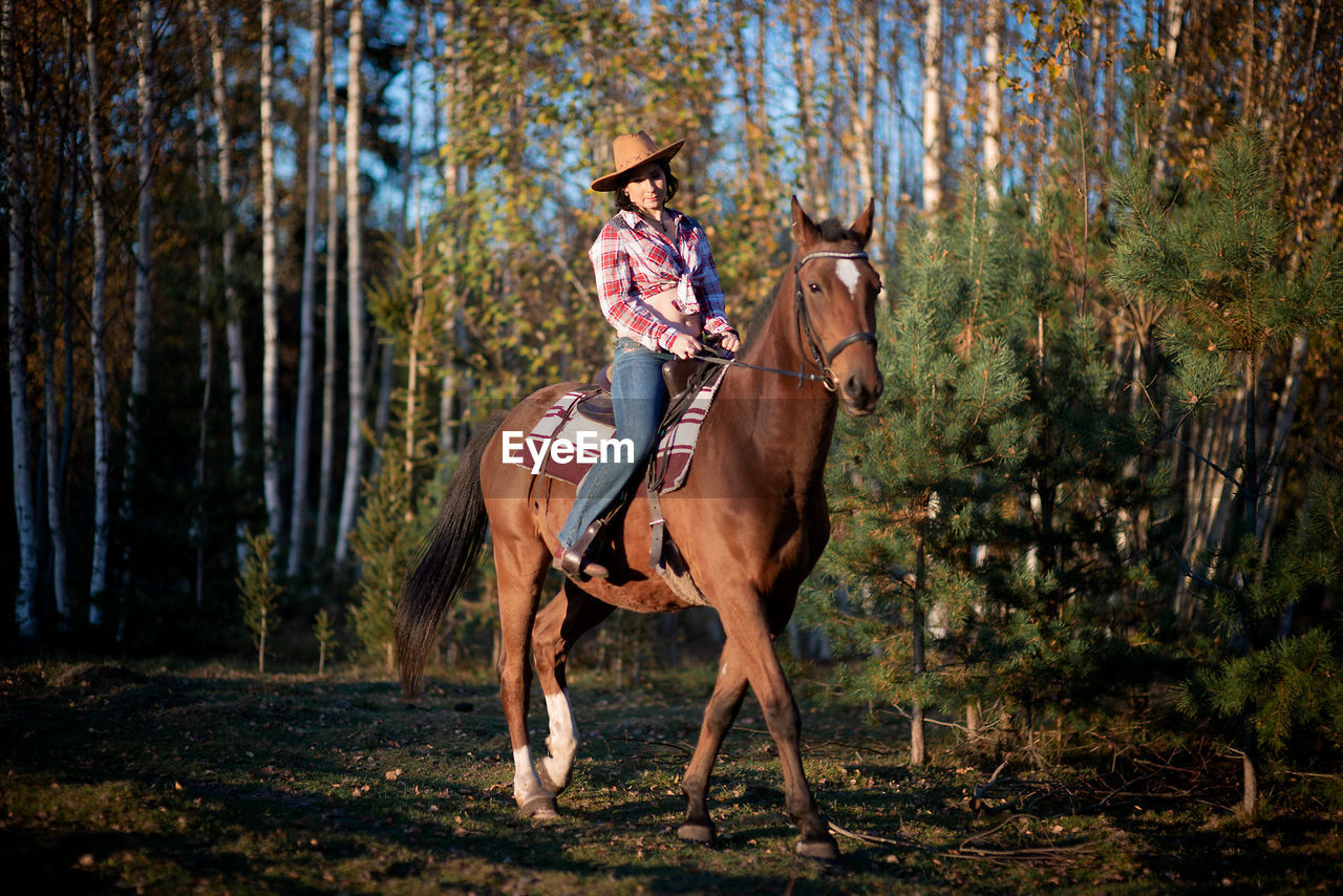 A woman wearing a cowboy hat rides a horse in a countryside farm yard,natural soft sunlight