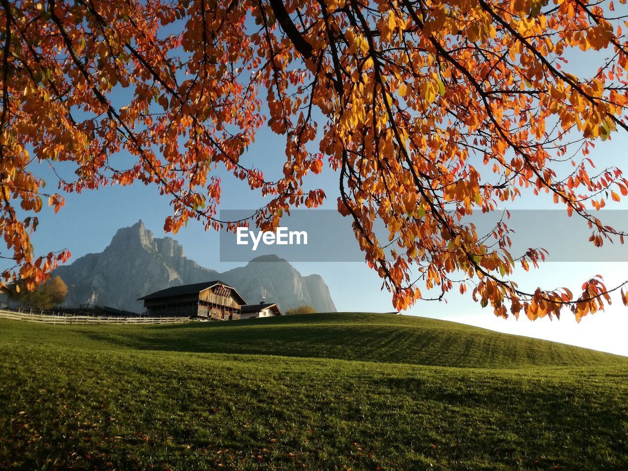 SCENIC VIEW OF FARM AGAINST SKY