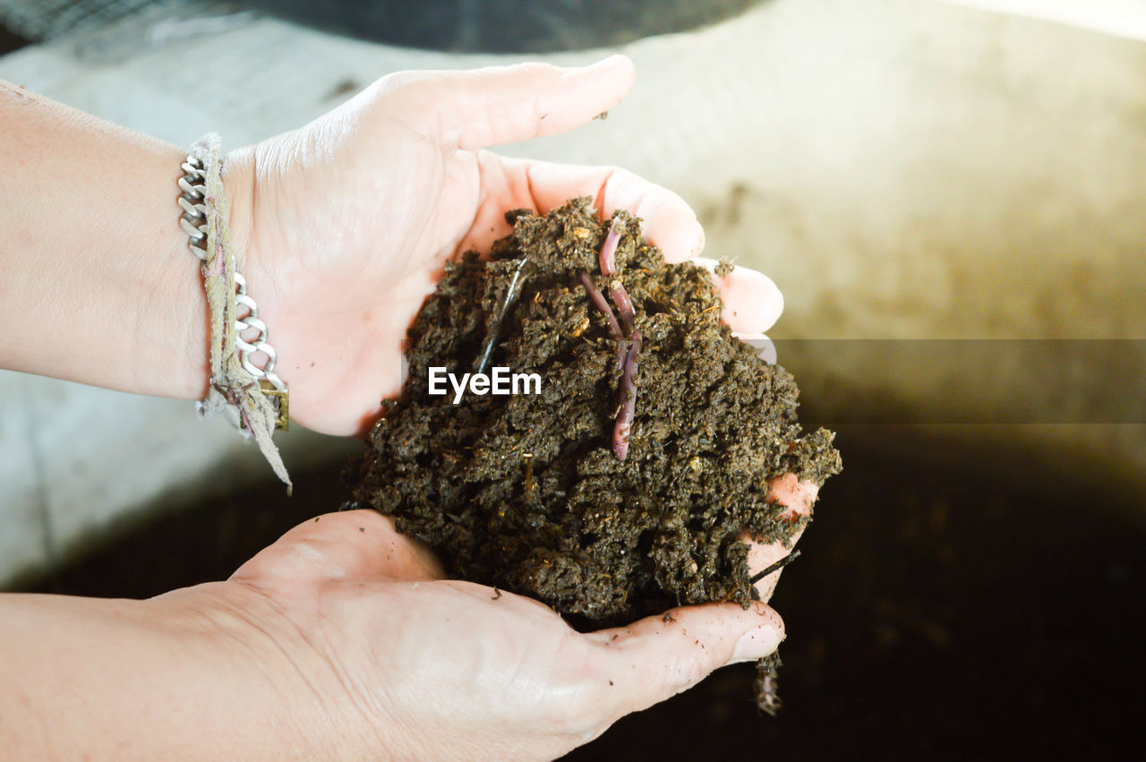 Close-up of person holding soil