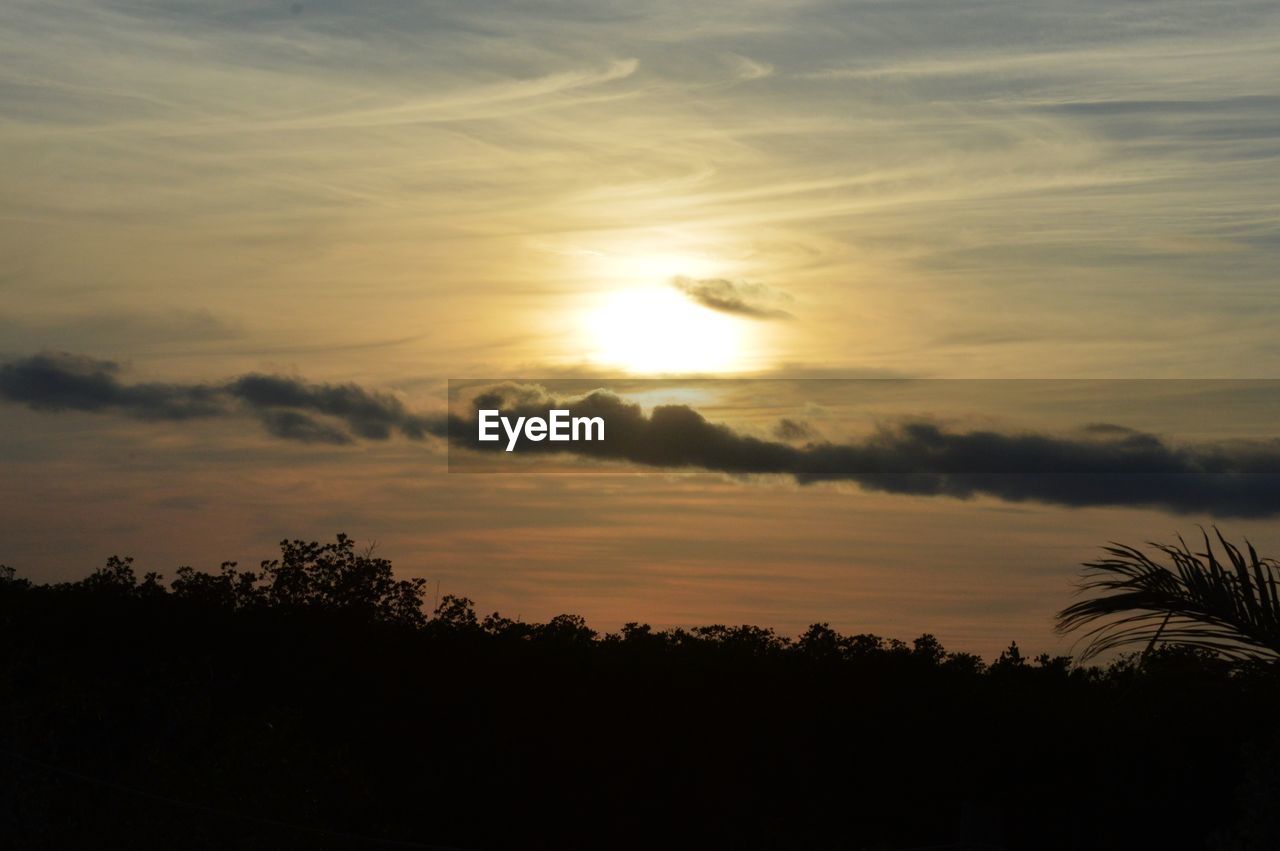 SILHOUETTE OF TREES AGAINST SKY DURING SUNSET