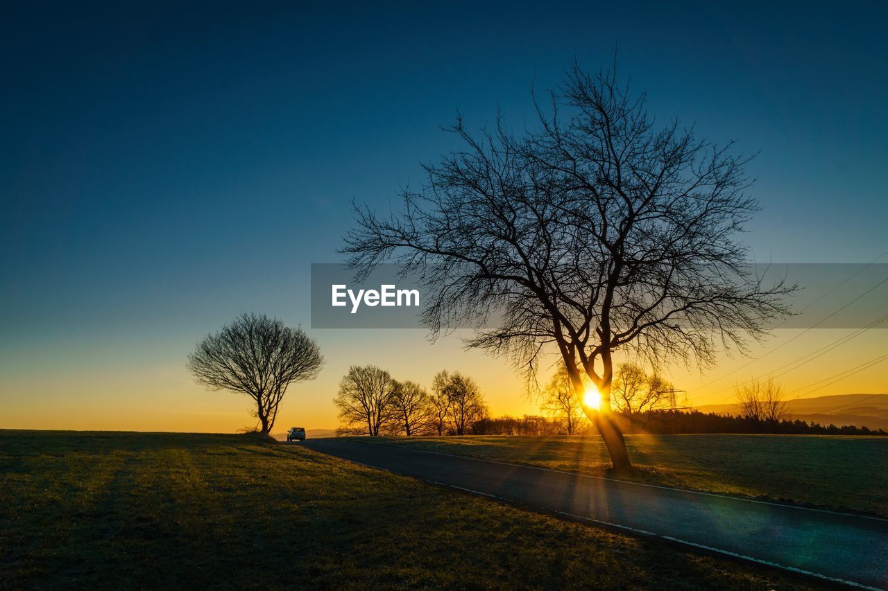 Silhouette tree on field against sky at sunset