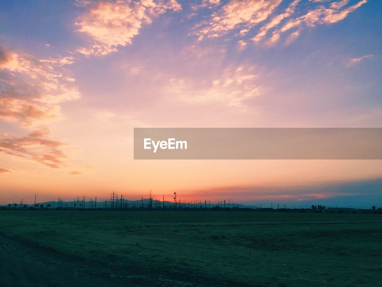 Grassy field against sky during sunset