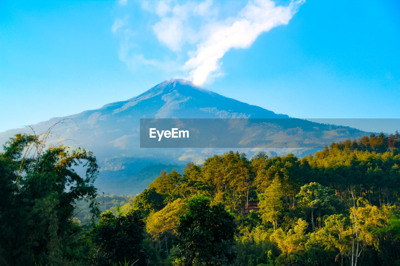 Scenic view of trees and mountains against sky