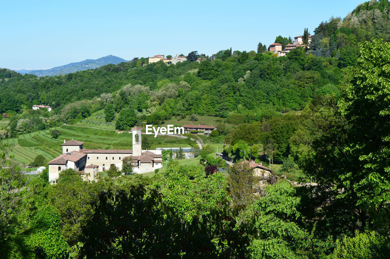 Trees and plants on landscape against mountains