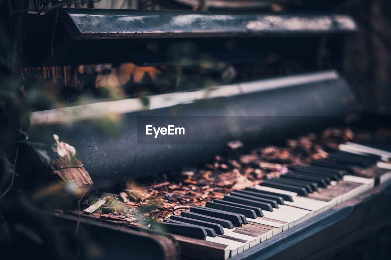 Close-up of autumn leaves on abandoned piano