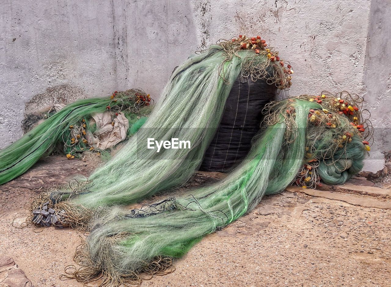 CLOSE-UP OF CABBAGE ON LAND