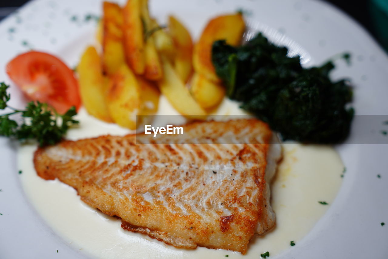 HIGH ANGLE VIEW OF FOOD SERVED ON PLATE