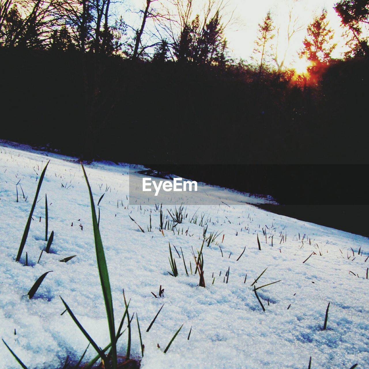 SNOW COVERED LANDSCAPE AT SUNSET