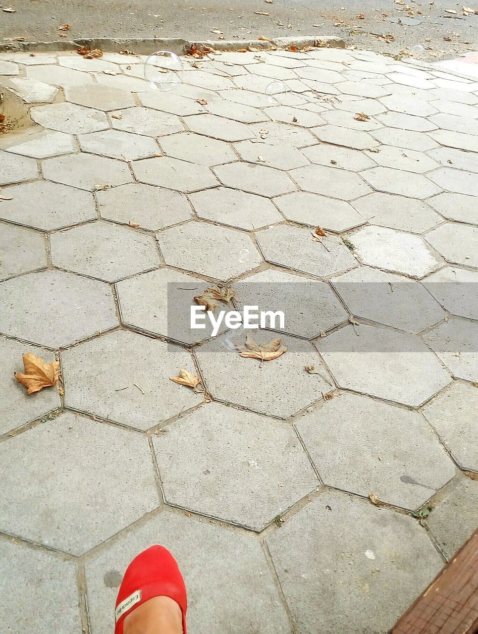 LOW SECTION OF WOMAN STANDING ON FOOTPATH