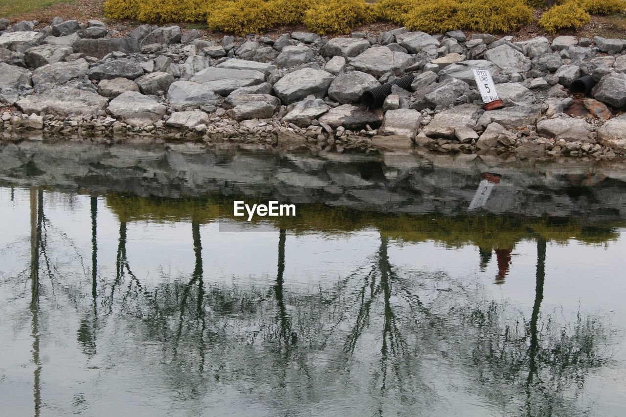 REFLECTION OF TREES IN LAKE