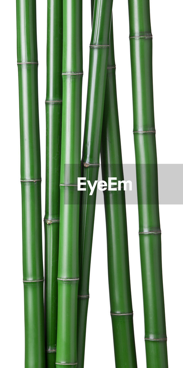 green, bamboo, no people, cue stick, cut out, industry, plant stem
