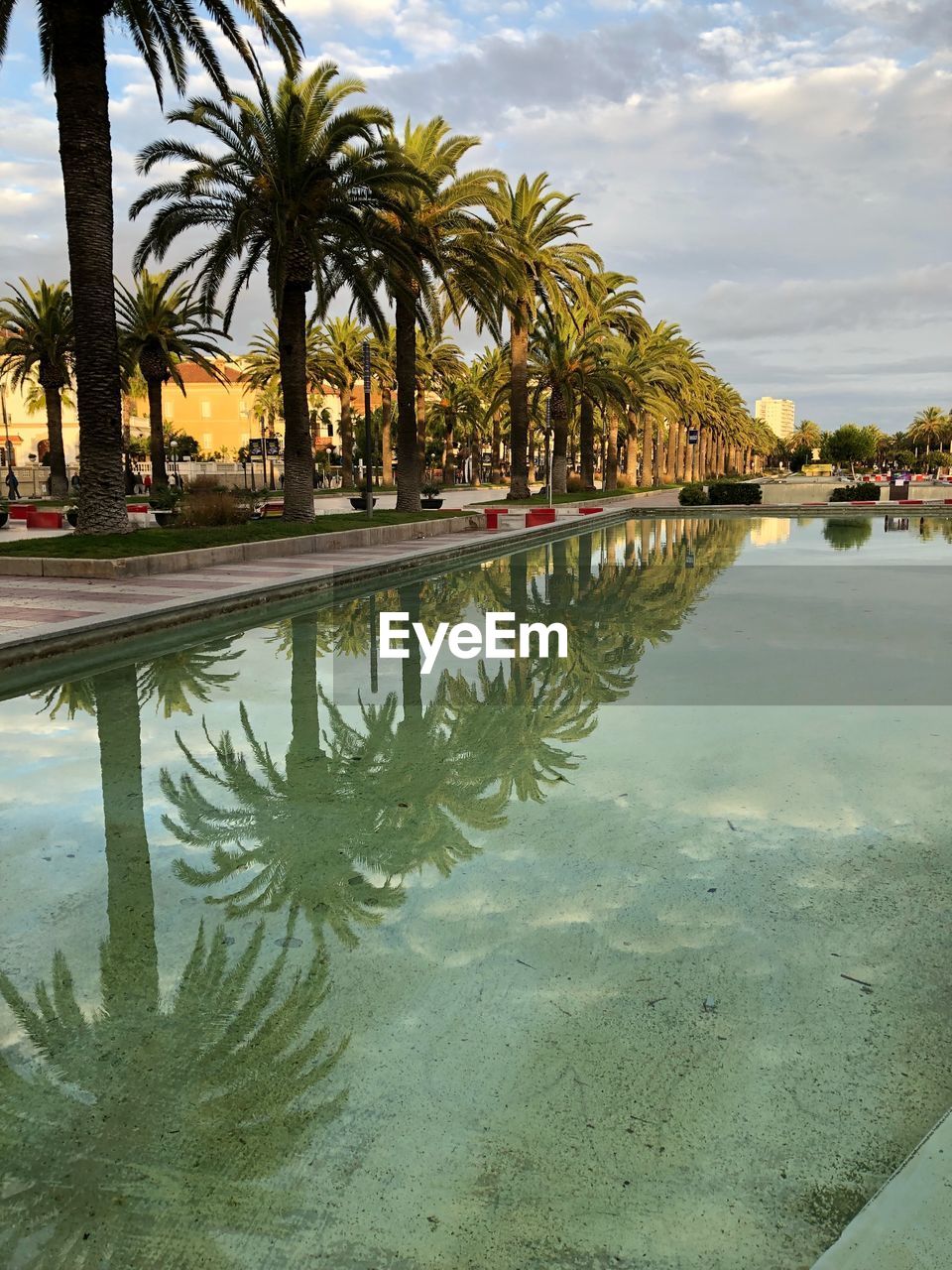 REFLECTION OF PALM TREES IN SWIMMING POOL AGAINST SKY