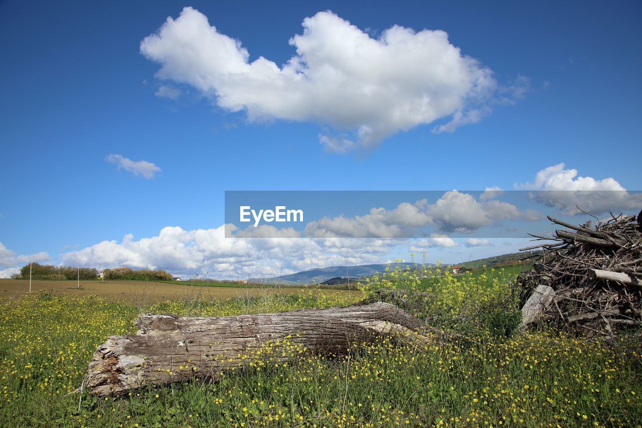 SCENIC VIEW OF LAND AGAINST SKY