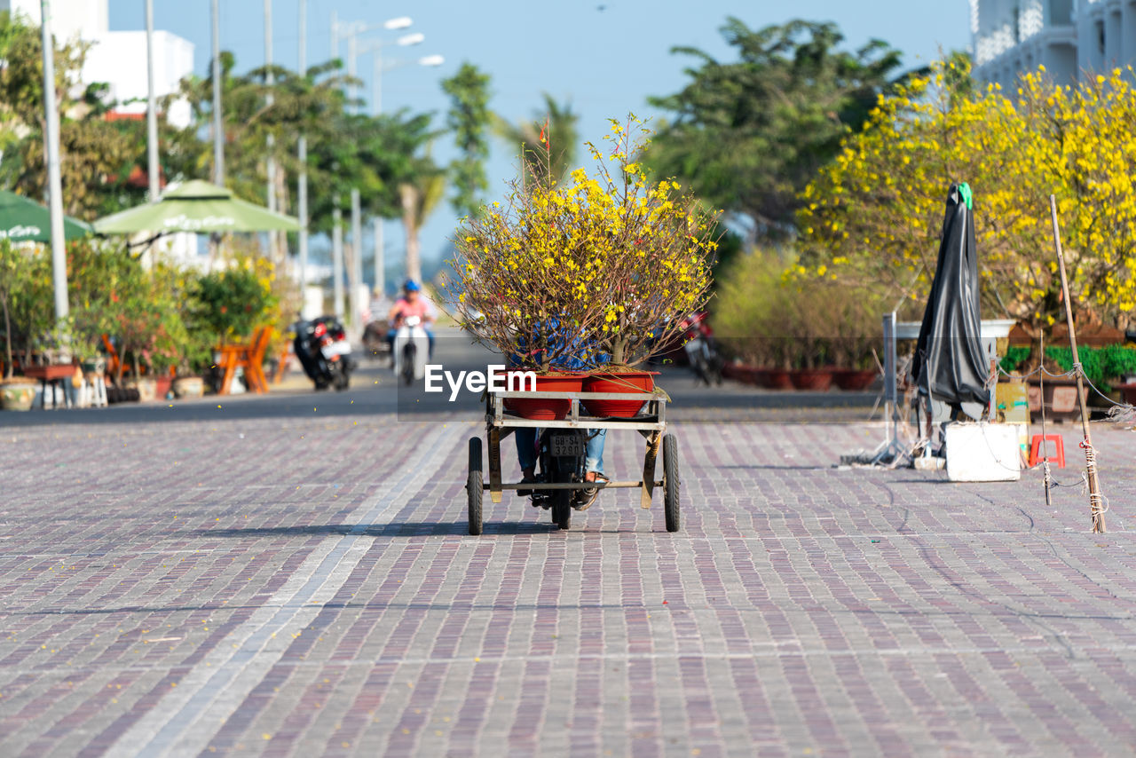 PEOPLE ON FOOTPATH IN PARK