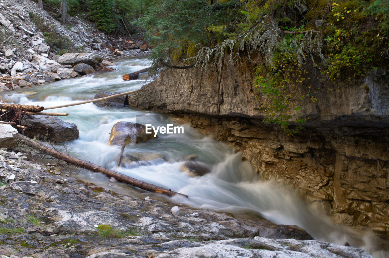 Scenic view of waterfall in forest